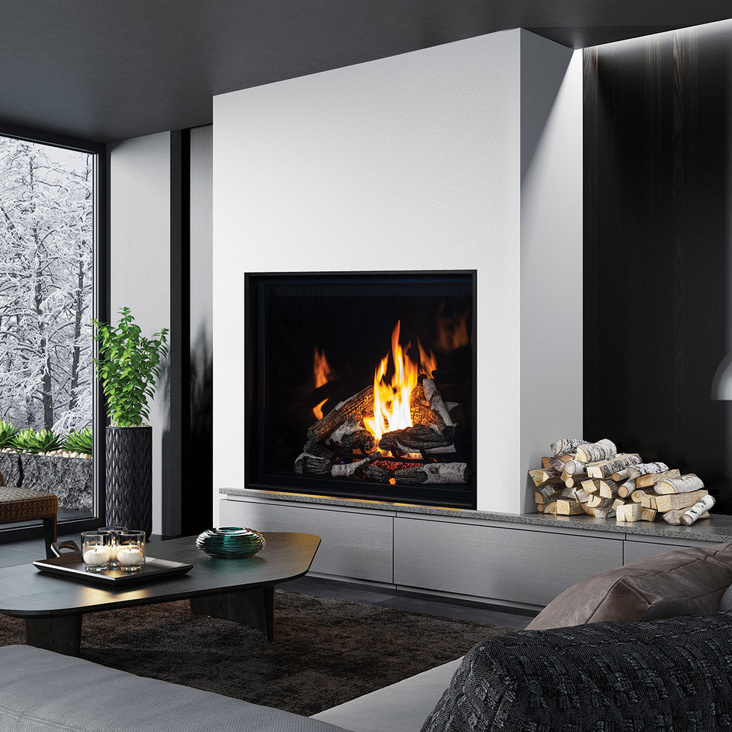 Premium Gas Fireplaces - Modern or Traditional styled Inserts and ...